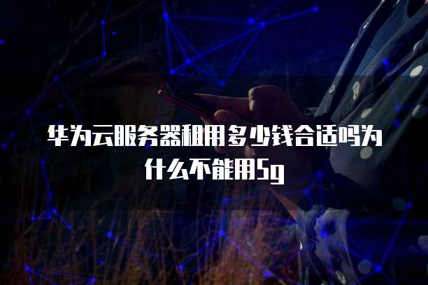 华为云服务器租用多少钱合适吗为什么不能用5g