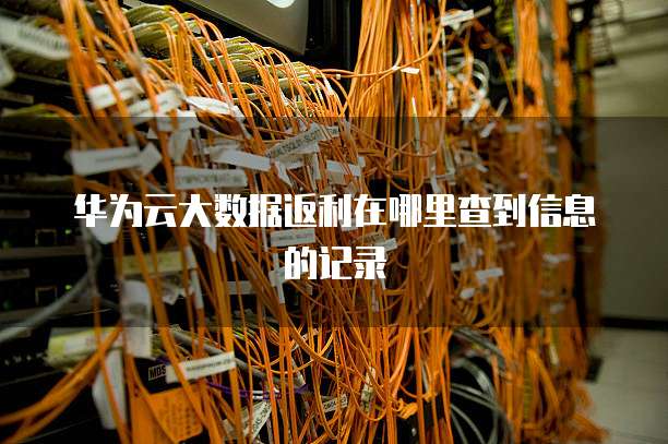 华为云大数据返利在哪里查到信息的记录