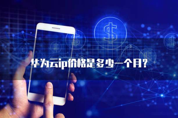 华为云ip价格是多少一个月?