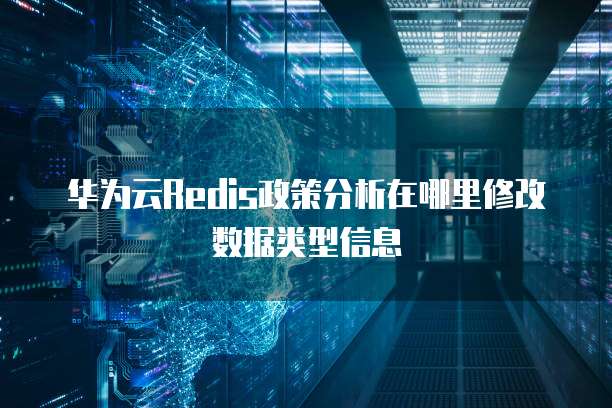 华为云Redis政策分析在哪里修改数据类型信息