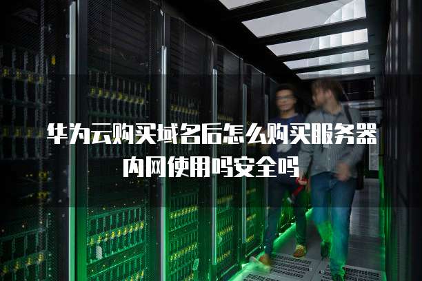 华为云购买域名后怎么购买服务器内网使用吗安全吗