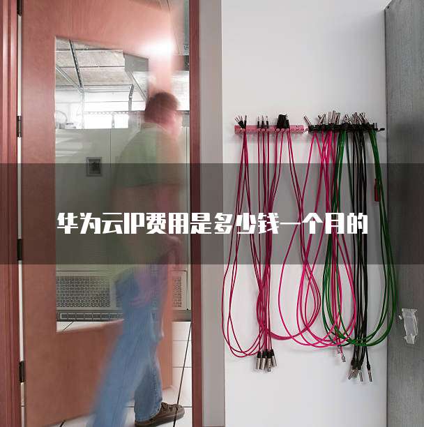 华为云IP费用是多少钱一个月的