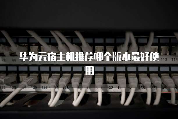 华为云宿主机推荐哪个版本最好使用