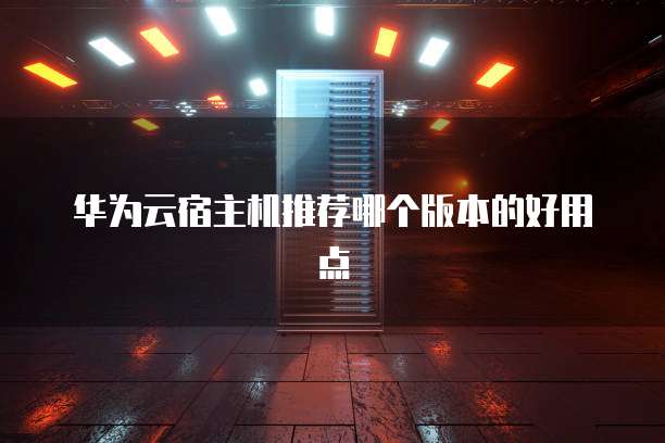 华为云宿主机推荐哪个版本的好用点