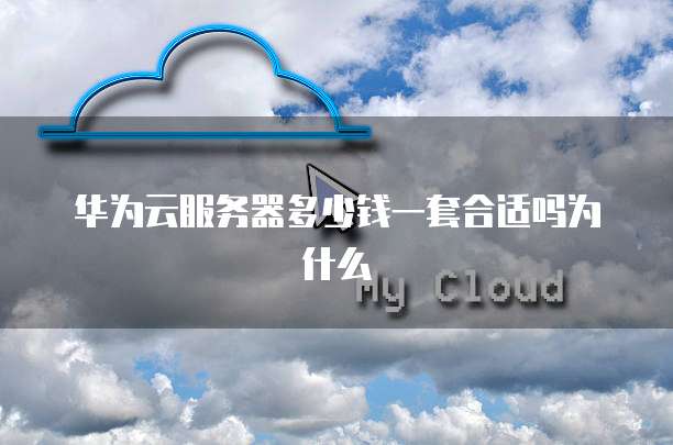 华为云服务器多少钱一套合适吗为什么