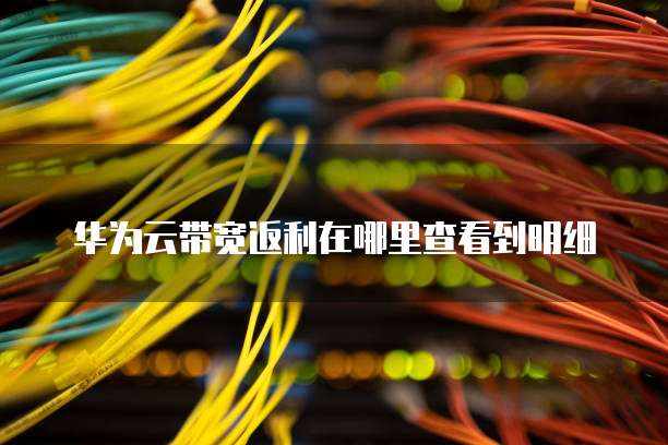 华为云带宽返利在哪里查看到明细