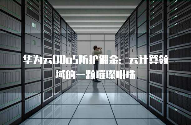华为云DDoS防护佣金:云计算领域的一颗璀璨明珠