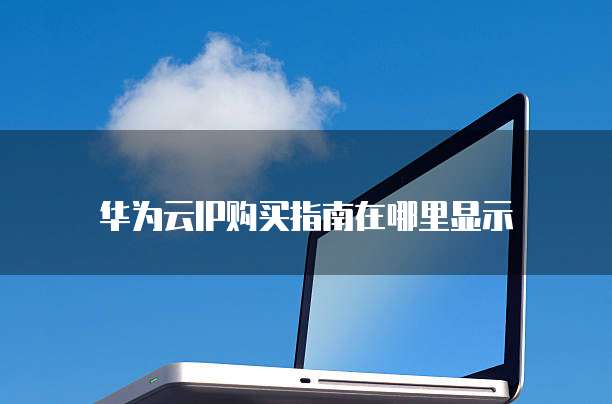 华为云IP购买指南在哪里显示