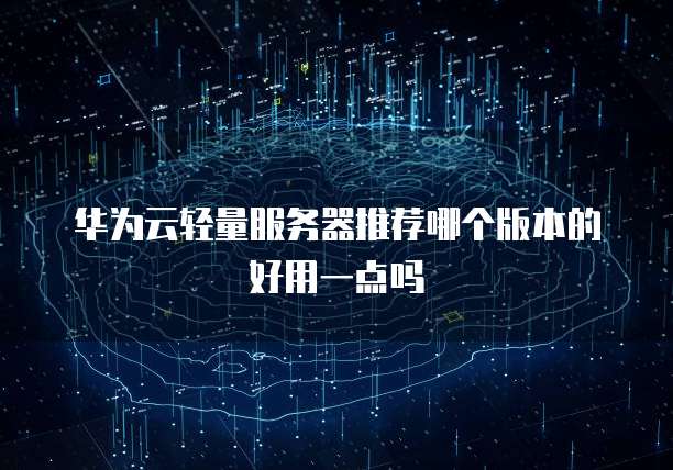 华为云轻量服务器推荐哪个版本的好用一点吗