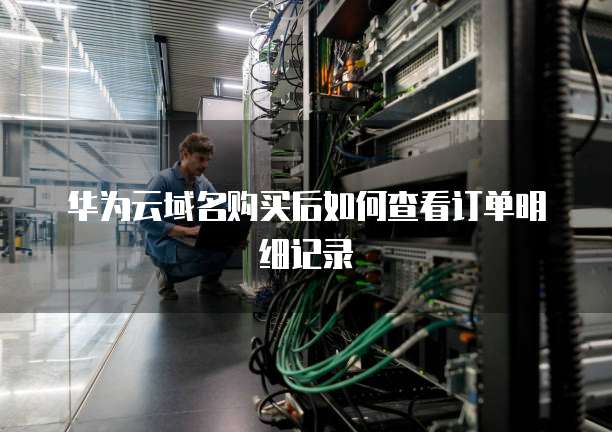 华为云域名购买后如何查看订单明细记录