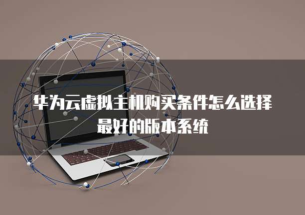 华为云虚拟主机购买条件怎么选择最好的版本系统