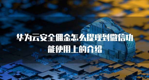 华为云安全佣金怎么提现到微信功能使用上的介绍