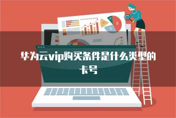华为云vip购买条件是什么类型的卡号