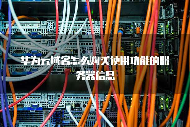 华为云域名怎么购买使用功能的服务器信息