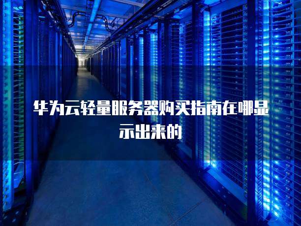 华为云轻量服务器购买指南在哪显示出来的