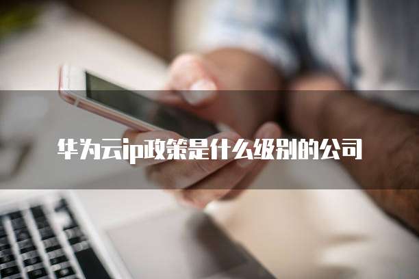 华为云ip政策是什么级别的公司