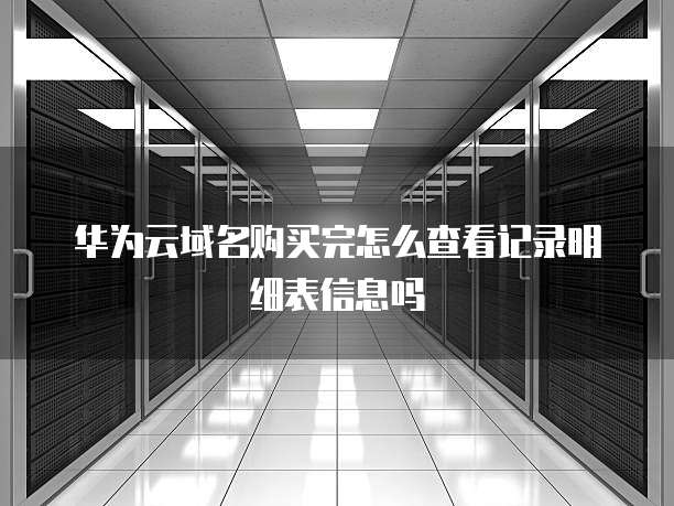 华为云域名购买完怎么查看记录明细表信息吗
