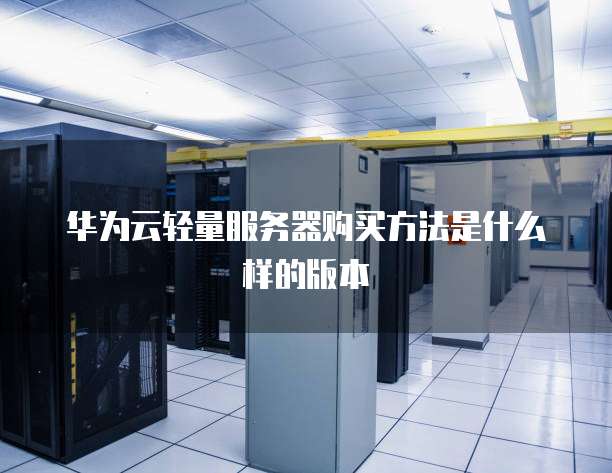华为云轻量服务器购买方法是什么样的版本