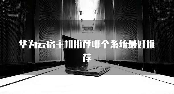 华为云宿主机推荐哪个系统最好推荐