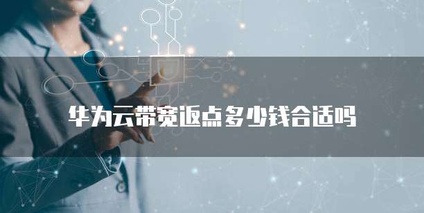 华为云带宽返点多少钱合适吗