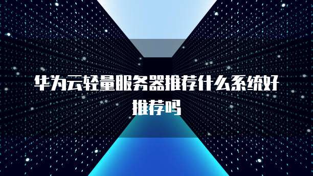 华为云轻量服务器推荐什么系统好推荐吗