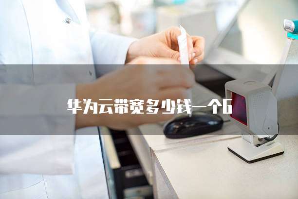 华为云带宽多少钱一个G