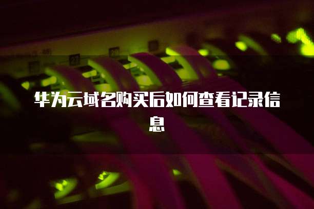 华为云域名购买后如何查看记录信息