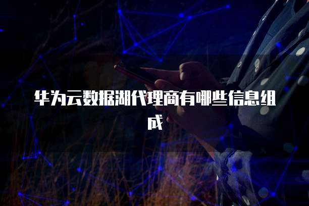 华为云数据湖代理商有哪些信息组成
