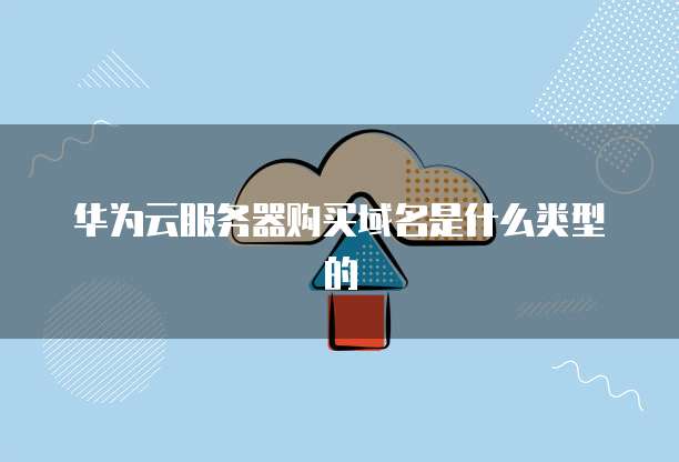 华为云服务器购买域名是什么类型的