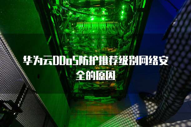 华为云DDoS防护推荐级别网络安全的原因