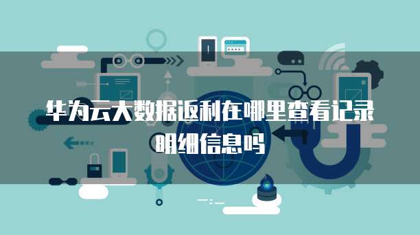 华为云大数据返利在哪里查看记录明细信息吗
