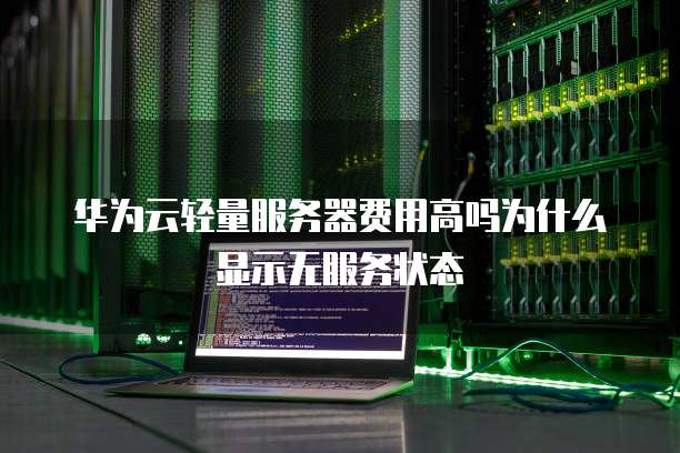 华为云轻量服务器费用高吗为什么显示无服务状态