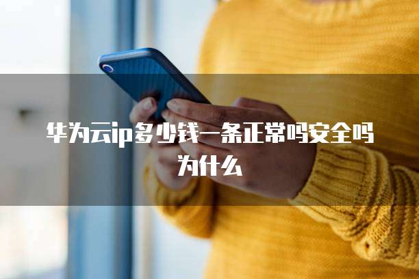 华为云ip多少钱一条正常吗安全吗为什么