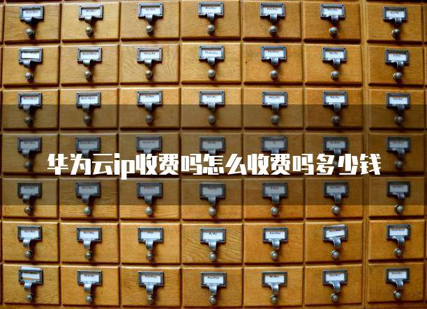 华为云ip收费吗怎么收费吗多少钱