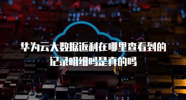 华为云大数据返利在哪里查看到的记录明细吗是真的吗