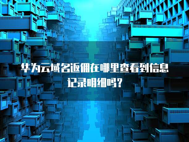 华为云域名返佣在哪里查看到信息记录明细吗?