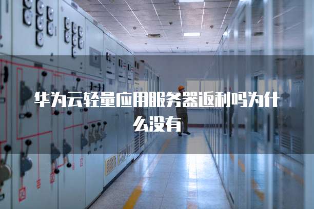 华为云轻量应用服务器返利吗为什么没有