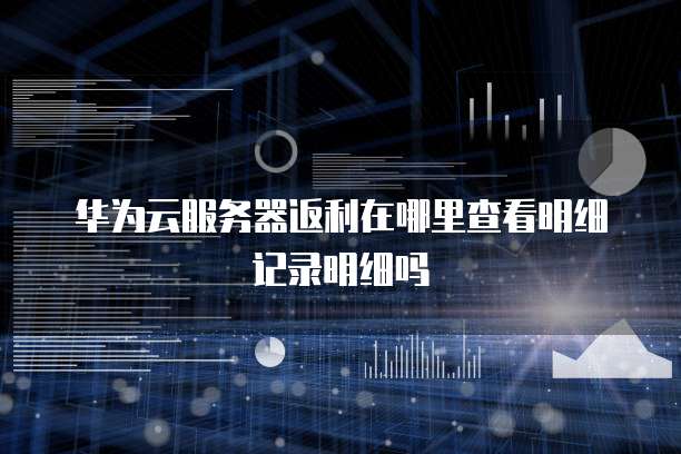 华为云服务器返利在哪里查看明细记录明细吗