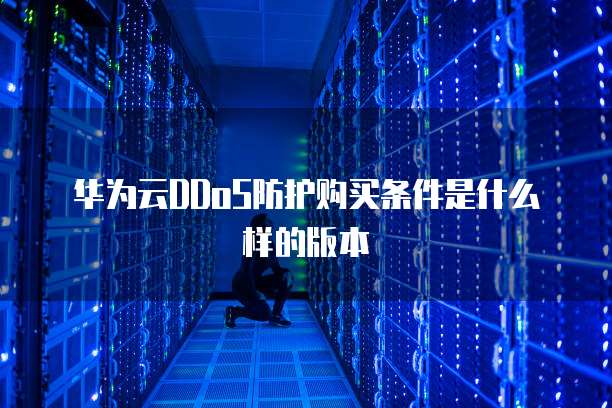 华为云DDoS防护购买条件是什么样的版本