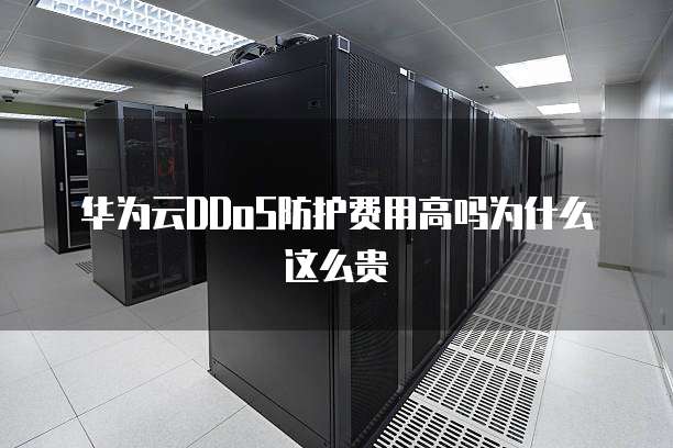华为云DDoS防护费用高吗为什么这么贵