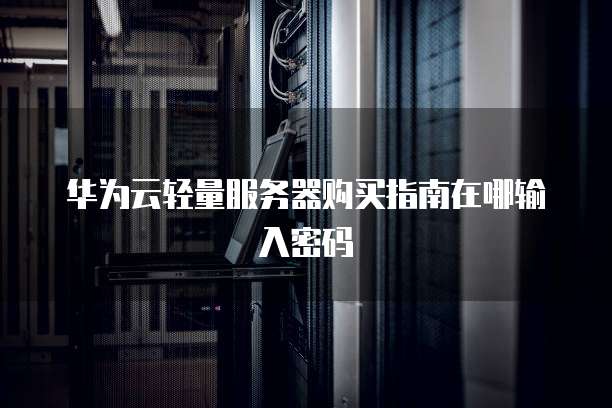 华为云轻量服务器购买指南在哪输入密码