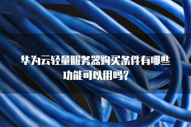华为云轻量服务器购买条件有哪些功能可以用吗?