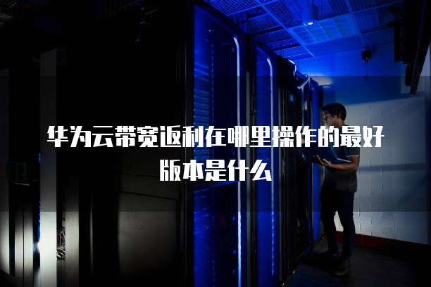 华为云带宽返利在哪里操作的最好版本是什么