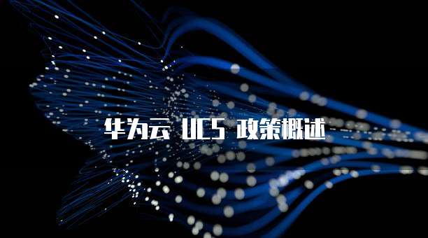 华为云 UCS 政策概述