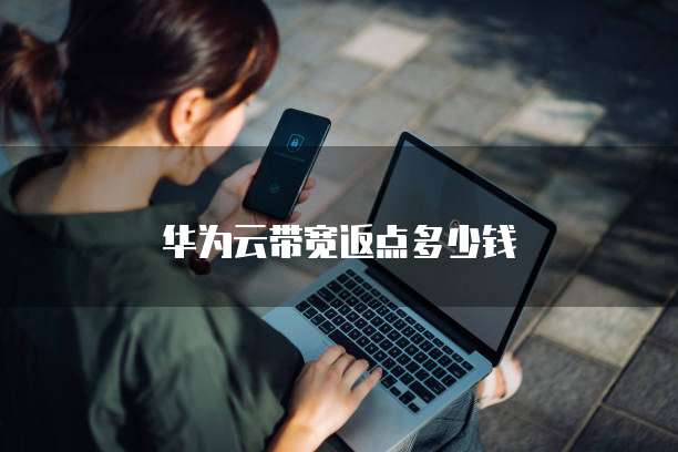 华为云带宽返点多少钱