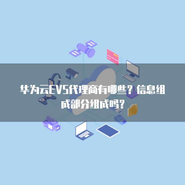 华为云EVS代理商有哪些?信息组成部分组成吗?
