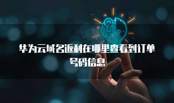 华为云域名返利在哪里查看到订单号码信息