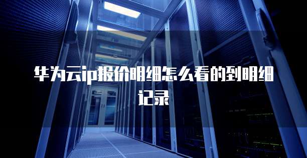 华为云ip报价明细怎么看的到明细记录
