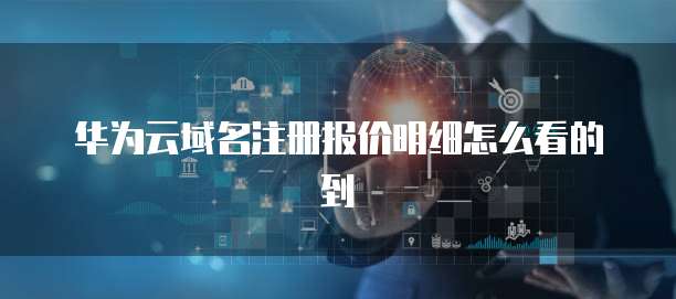 华为云域名注册报价明细怎么看的到