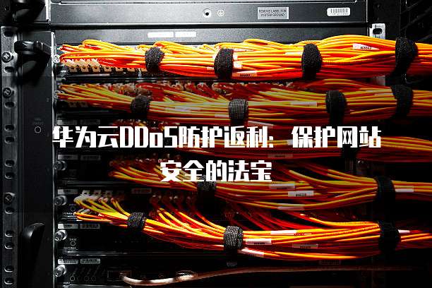 华为云DDoS防护返利：保护网站安全的法宝